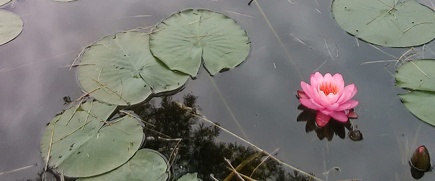 Emily Luhrs Massage & Cranial Sacral Therapy