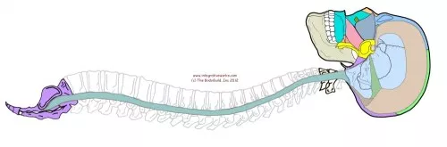 1561644550386-963343588